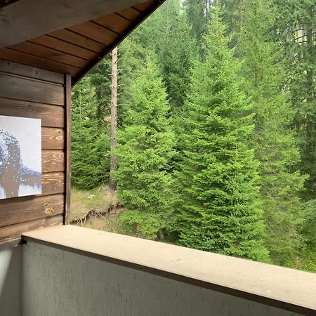 705 In The Stream Apartment Pamporovo
