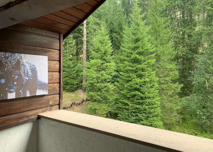 705 In The Stream Apartment Pamporovo