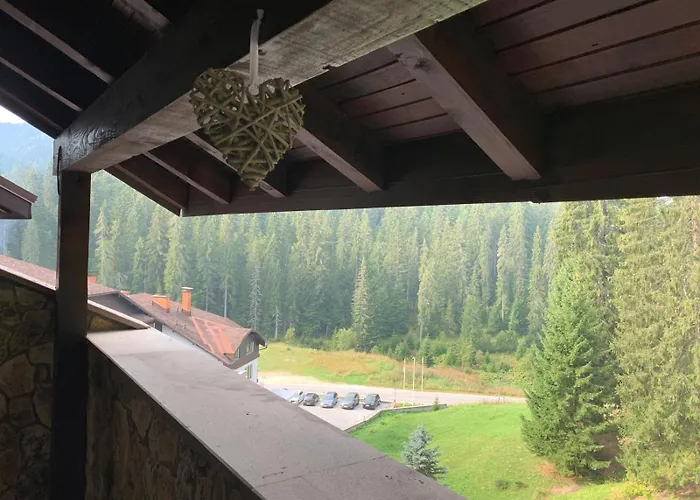 Apartment 705 In The Stream Pamporovo