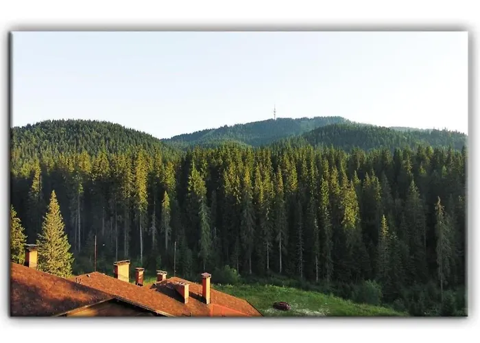 705 In The Stream Apartment Pamporovo