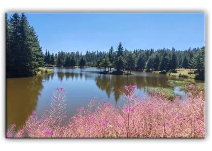 Apartment 705 In The Stream *