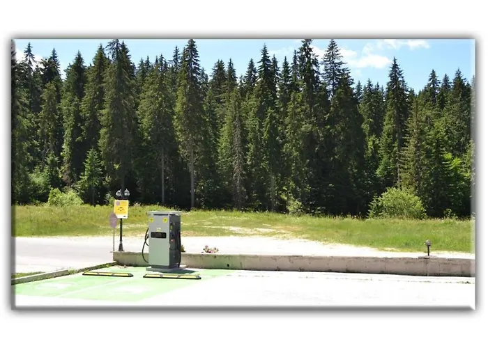 705 In The Stream * Pamporovo