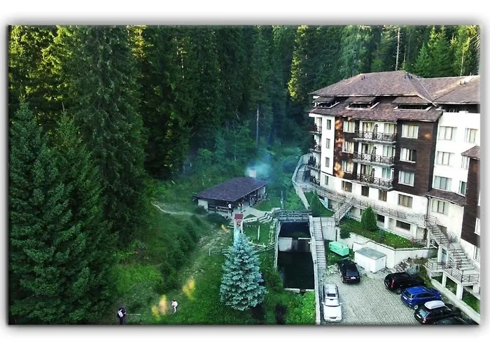 705 In The Stream * Pamporovo